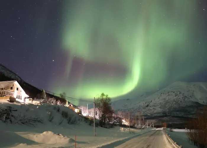 Aurora Panorama