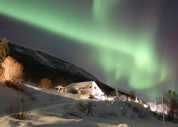 Aurora Panorama