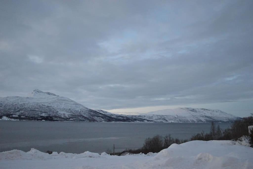 Aurora Panorama Laksvatn