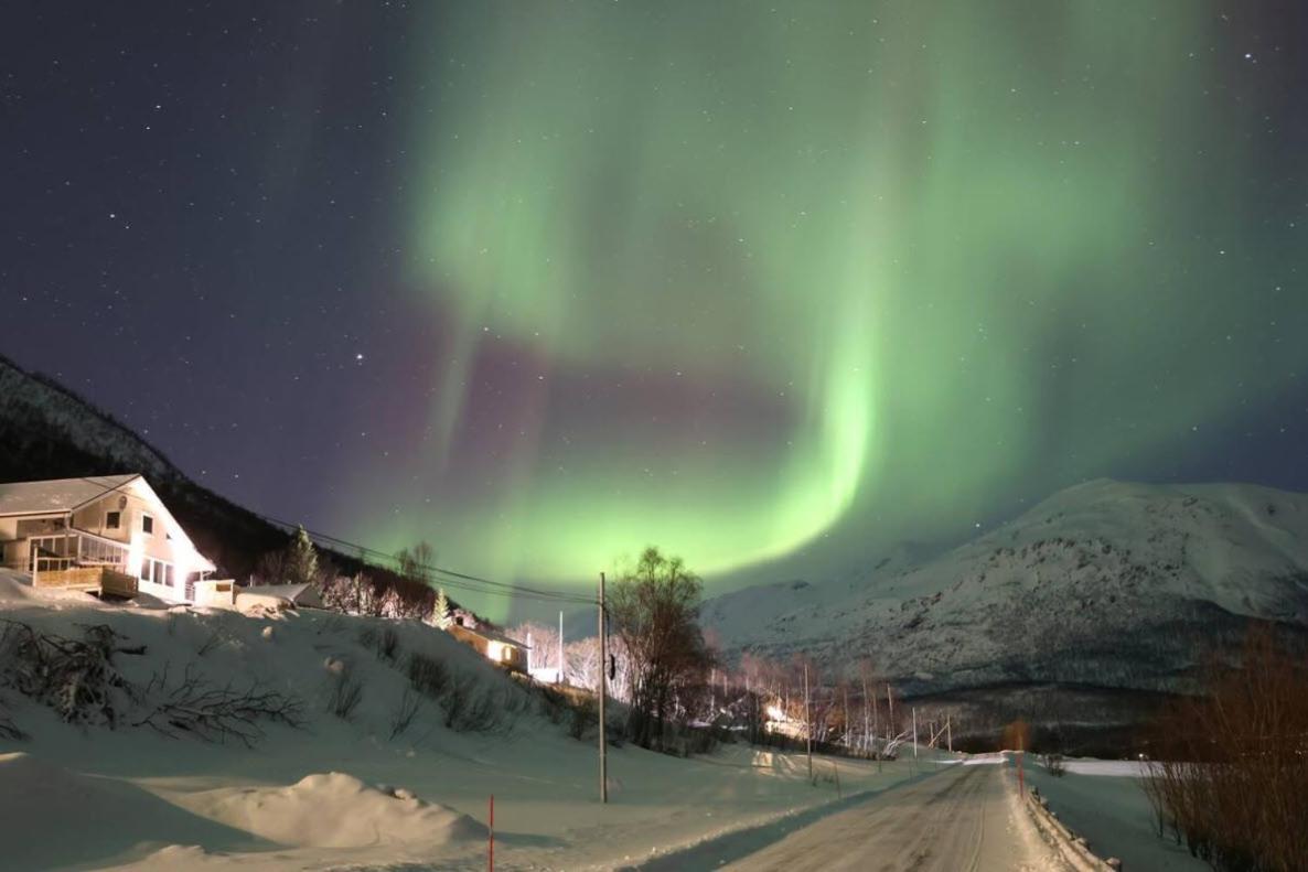 Appartamento Aurora Panorama *